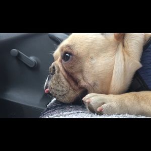 Meet your Posher, Joanne